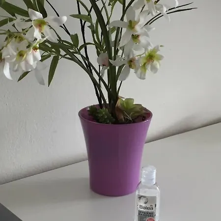 Apartament Grocke